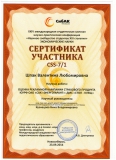 Шпак В.Л. Новосибирск 2014